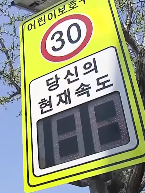 스쿨존 내 설치된 노란색 어린이 보호구역 전용 신호등